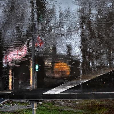 reflexii #11